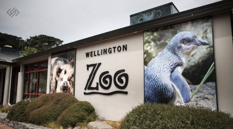 Wellington Zoo The Infinite